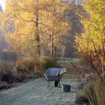 Guided tour of the medicinal herb garden. Lecture on Dr. Hauschka facial care