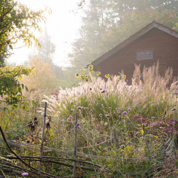 Guided tour of the medicinal herb garden: the heart of WALA