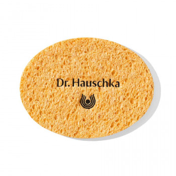 Cosmetic Sponge