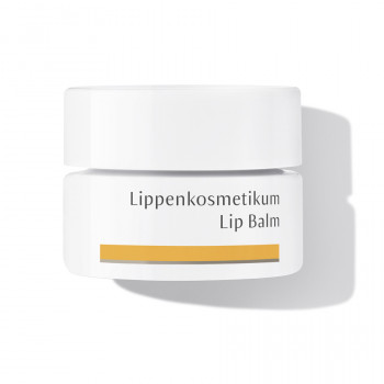 Dr. Hauschka Lippenkosmetikum: regenerierender Lippenbalsam für spröde, rissige Lippen Regenerierender Lippenbalsam: Dr. Hauschka Lippenkosmetikum