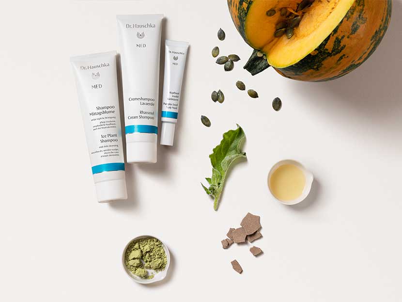scalp and hair care from Dr. Hauschka MED scalp and hair care from Dr. Hauschka MED