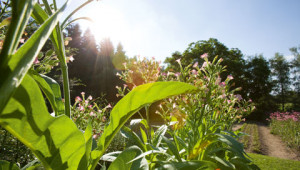 Dr. Hauschka Questions on the environment Dr. Hauschka Questions on the environment